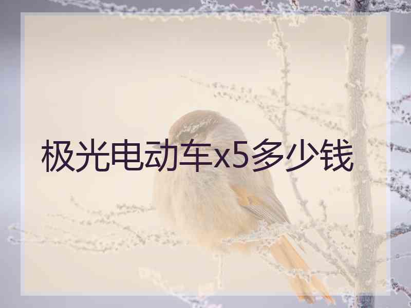 极光电动车x5多少钱