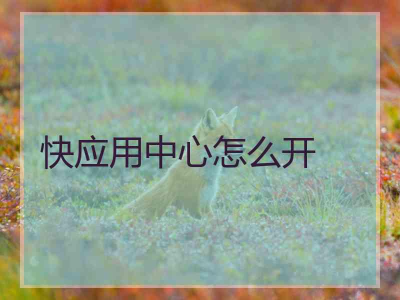 快应用中心怎么开