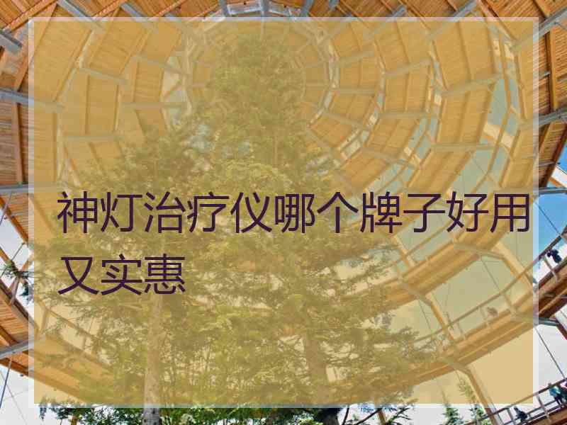 神灯治疗仪哪个牌子好用又实惠