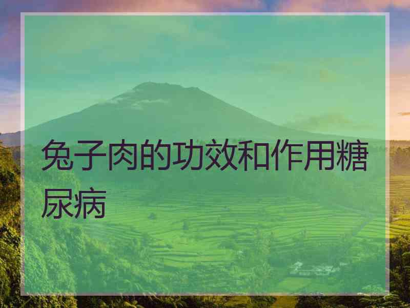兔子肉的功效和作用糖尿病