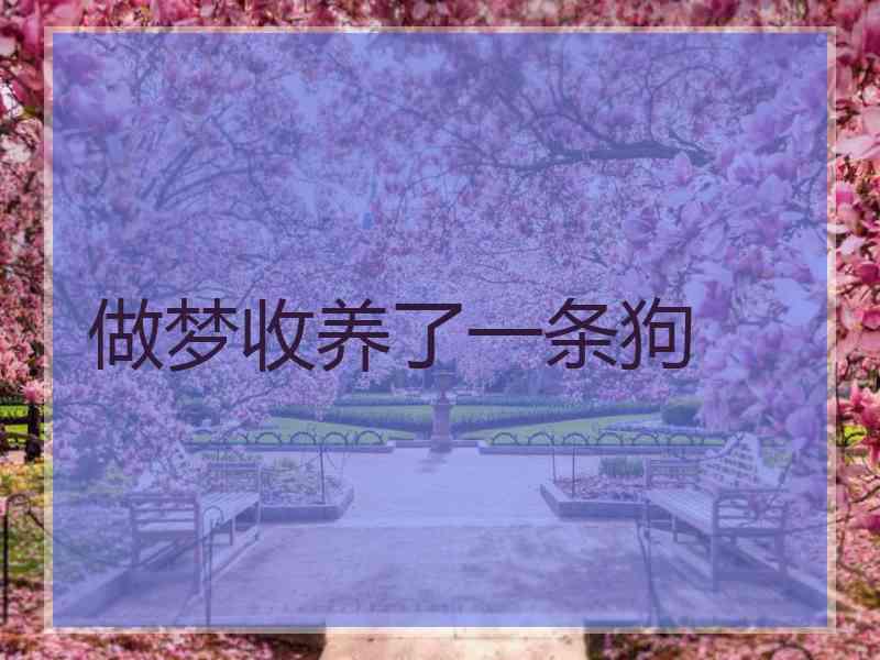 做梦收养了一条狗