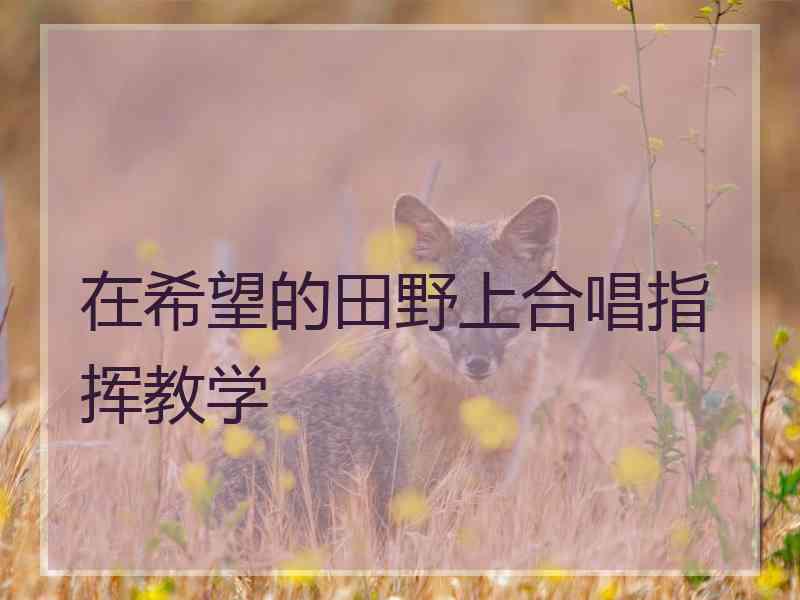 在希望的田野上合唱指挥教学