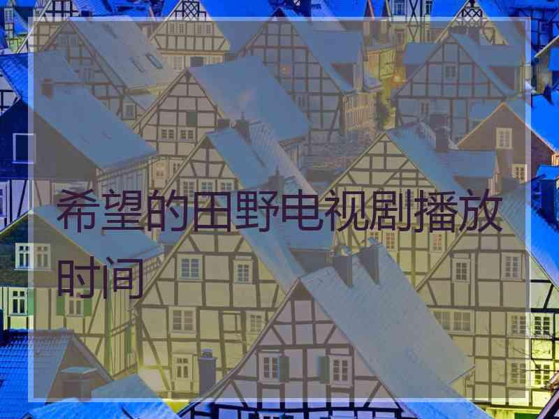 希望的田野电视剧播放时间