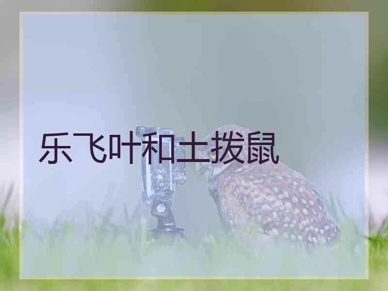 乐飞叶和土拨鼠