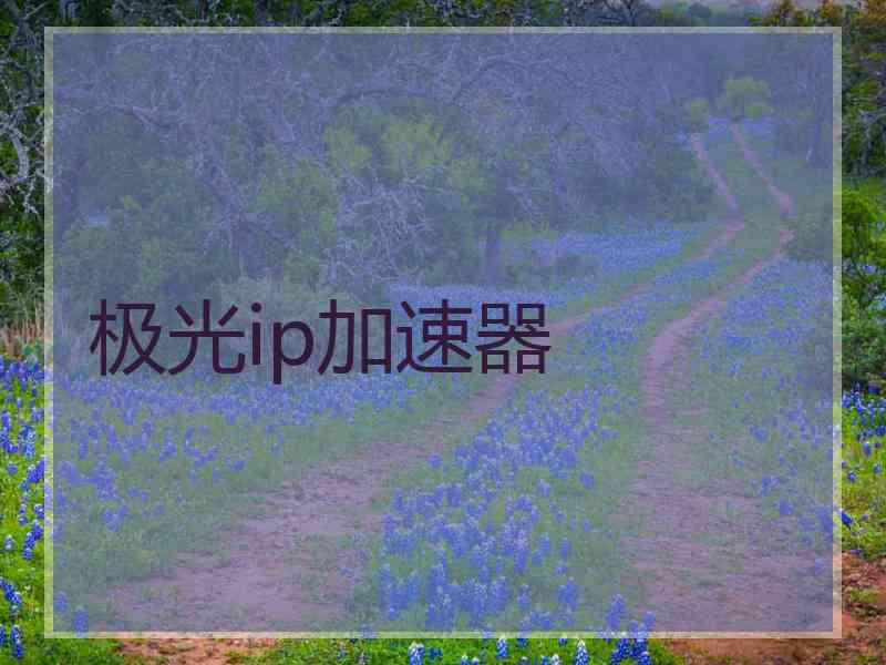 极光ip加速器