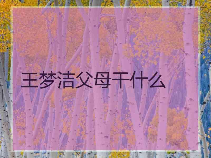 王梦洁父母干什么