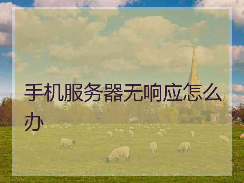 手机服务器无响应怎么办