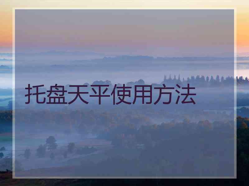 托盘天平使用方法