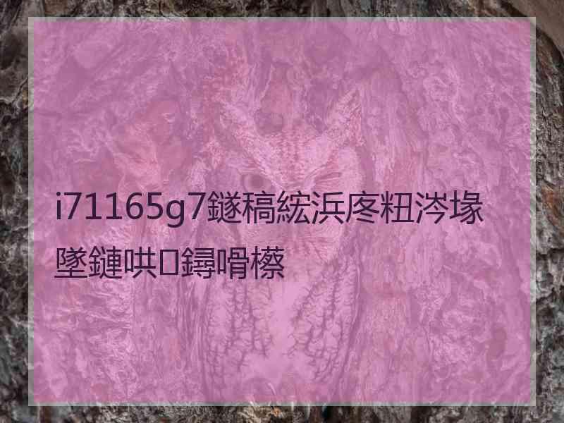 i71165g7鐩稿綋浜庝粈涔堟墜鏈哄鐞嗗櫒