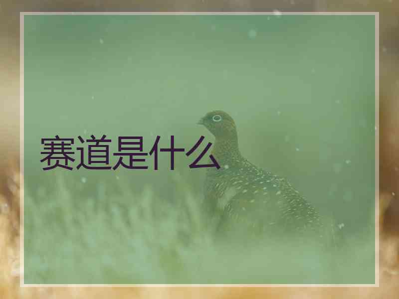 赛道是什么
