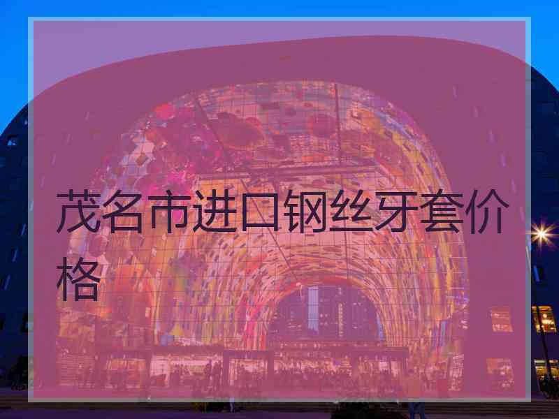 茂名市进口钢丝牙套价格
