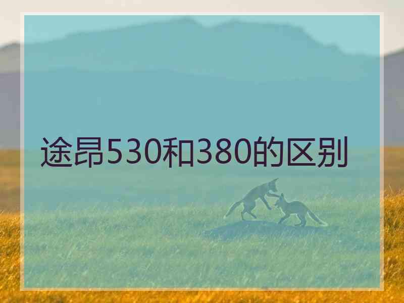 途昂530和380的区别