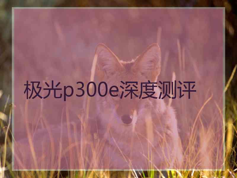 极光p300e深度测评