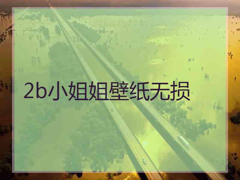 2b小姐姐壁纸无损