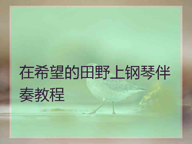 在希望的田野上钢琴伴奏教程