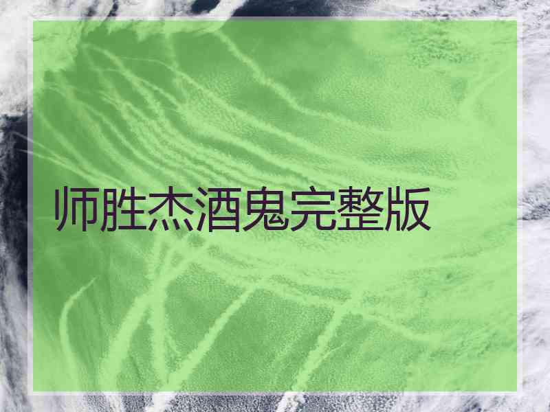 师胜杰酒鬼完整版
