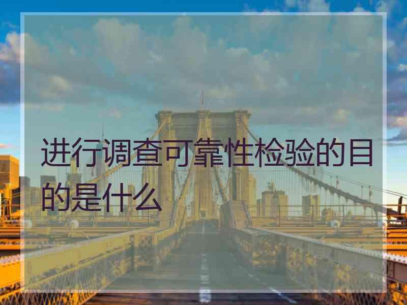 进行调查可靠性检验的目的是什么