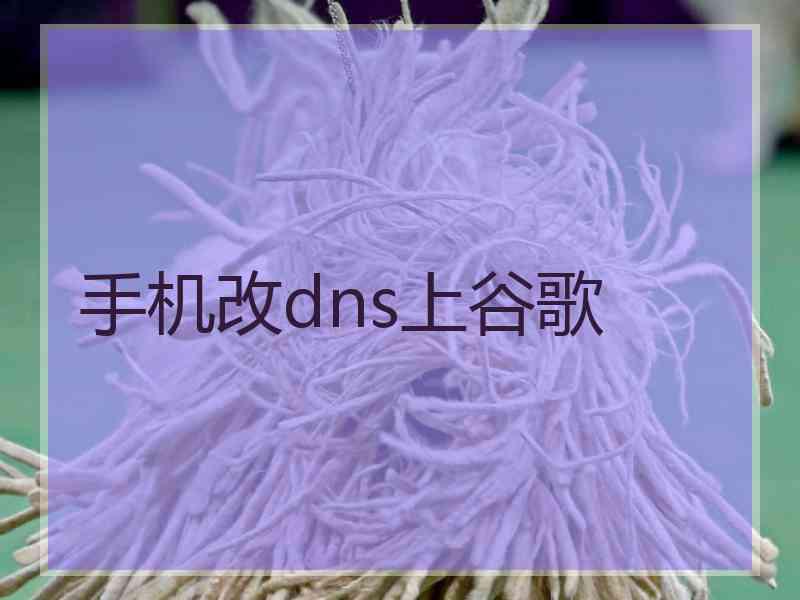 手机改dns上谷歌