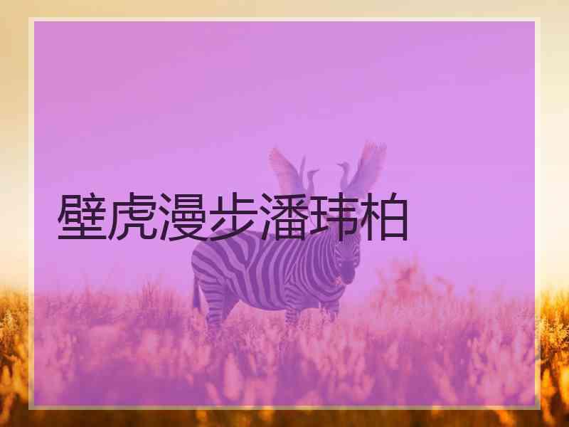 壁虎漫步潘玮柏