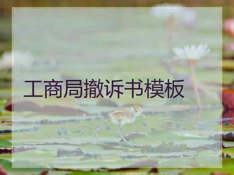 工商局撤诉书模板