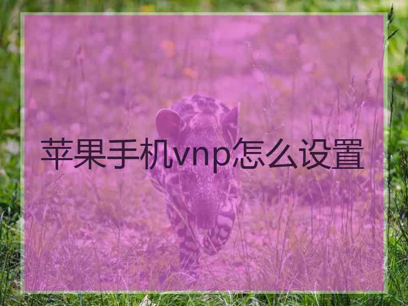 苹果手机vnp怎么设置