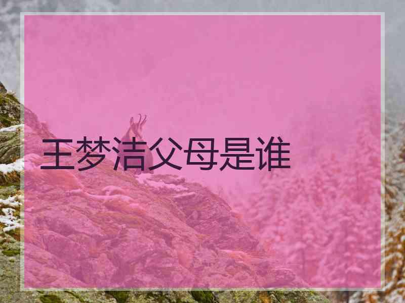 王梦洁父母是谁