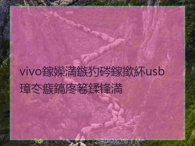 vivo鎵嬫満鏃犳硶鎵撳紑usb璋冭瘯鎬庝箞鍒锋満