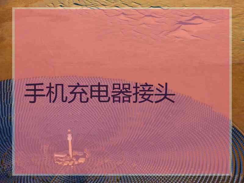 手机充电器接头