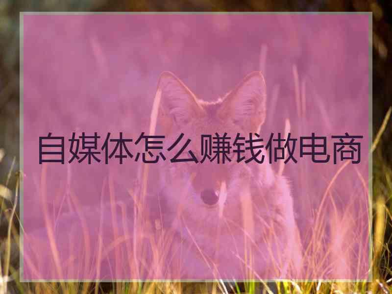 自媒体怎么赚钱做电商