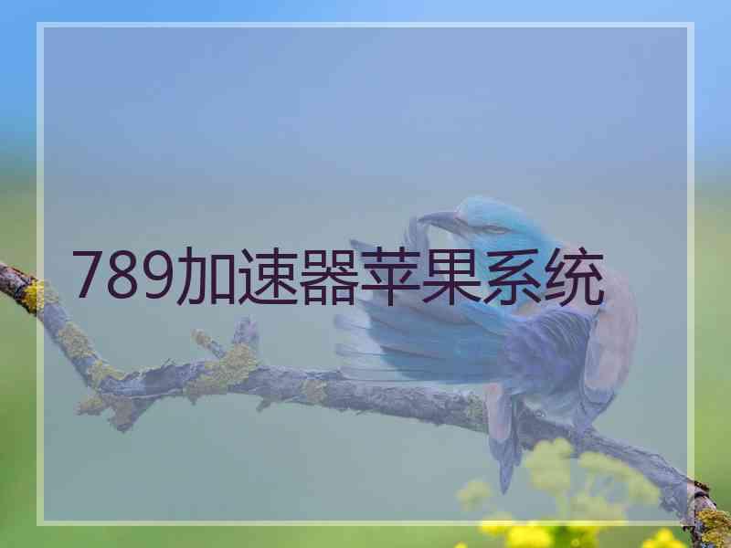 789加速器苹果系统