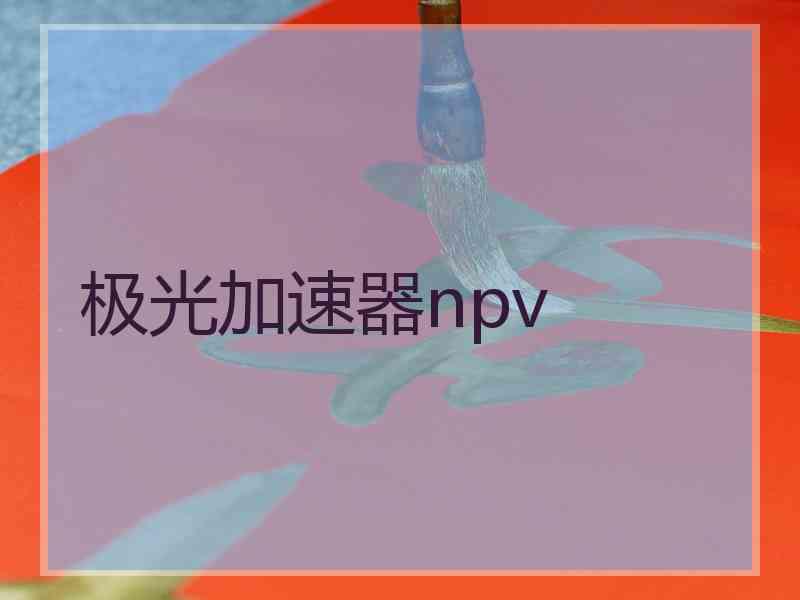 极光加速器npv