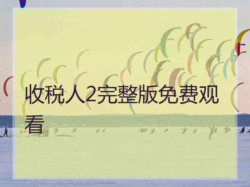 收税人2完整版免费观看