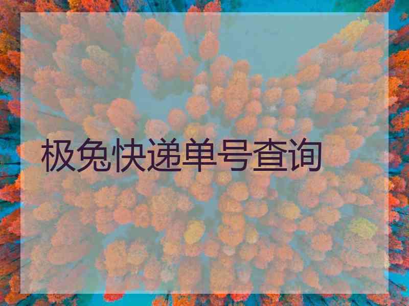 极兔快递单号查询