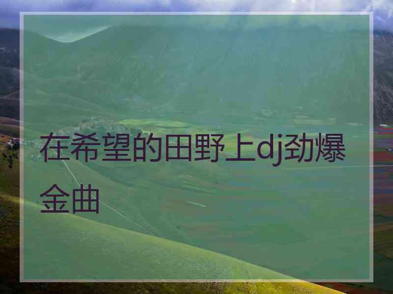 在希望的田野上dj劲爆金曲