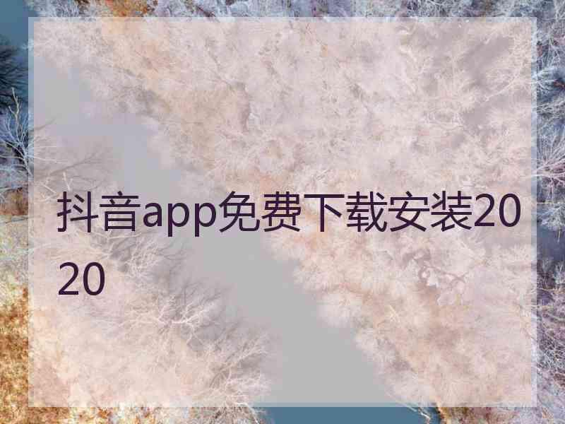 抖音app免费下载安装2020