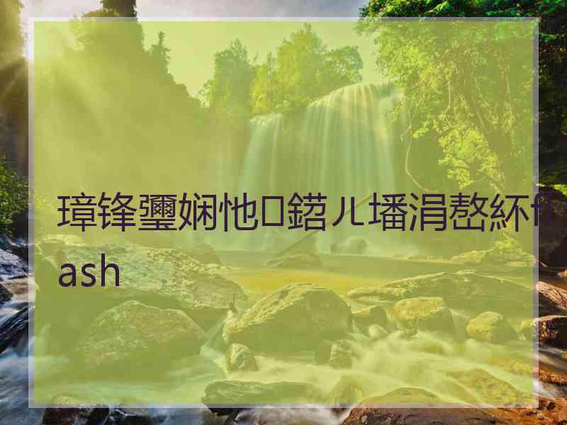 璋锋瓕娴忚鍣ㄦ墦涓嶅紑flash