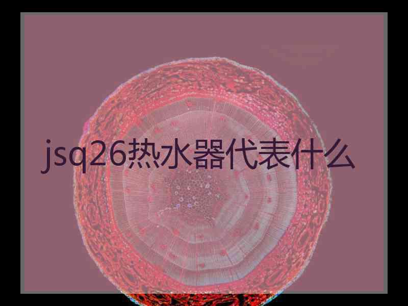 jsq26热水器代表什么