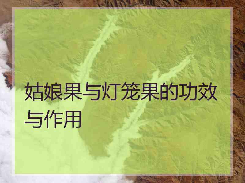 姑娘果与灯笼果的功效与作用