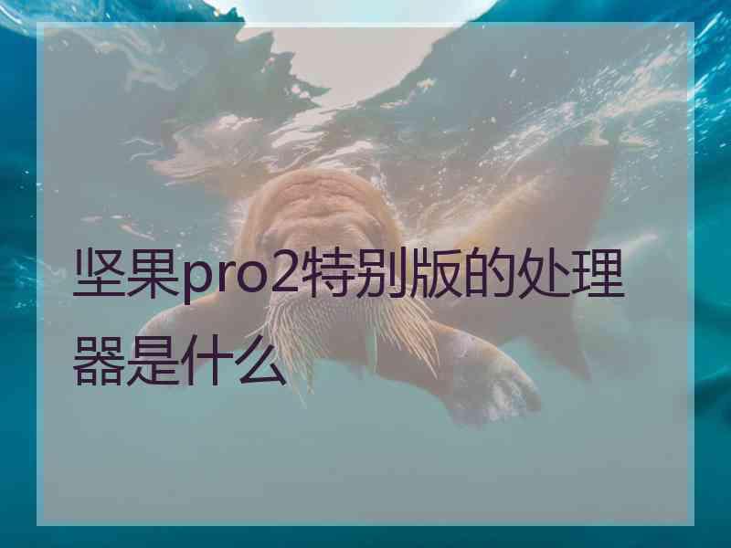 坚果pro2特别版的处理器是什么