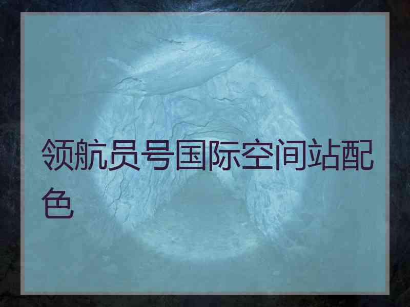 领航员号国际空间站配色
