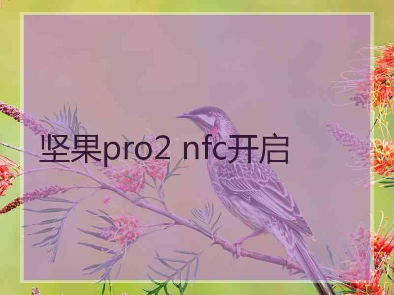 坚果pro2 nfc开启