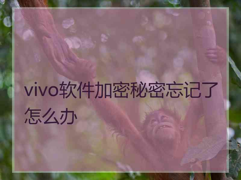 vivo软件加密秘密忘记了怎么办