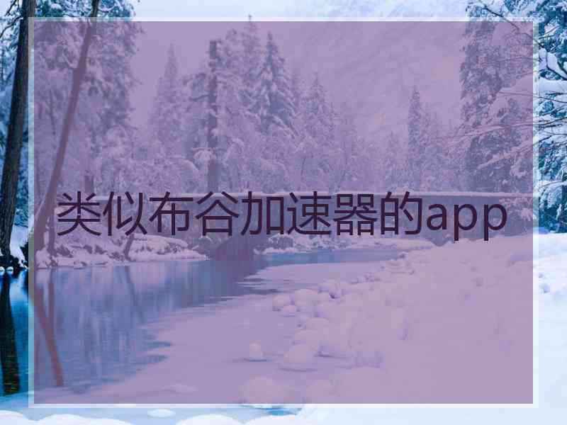 类似布谷加速器的app