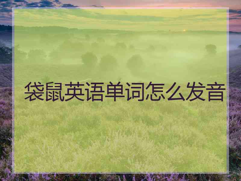 袋鼠英语单词怎么发音