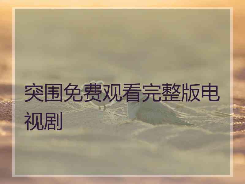 突围免费观看完整版电视剧