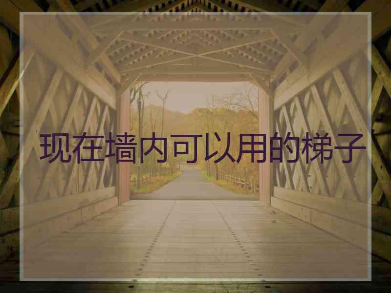 现在墙内可以用的梯子