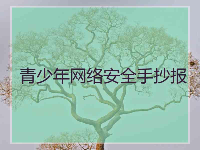 青少年网络安全手抄报