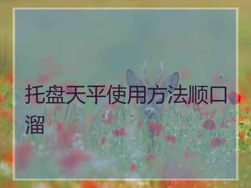 托盘天平使用方法顺口溜