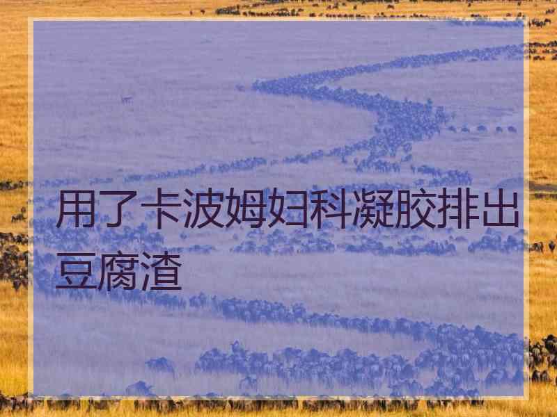 用了卡波姆妇科凝胶排出豆腐渣