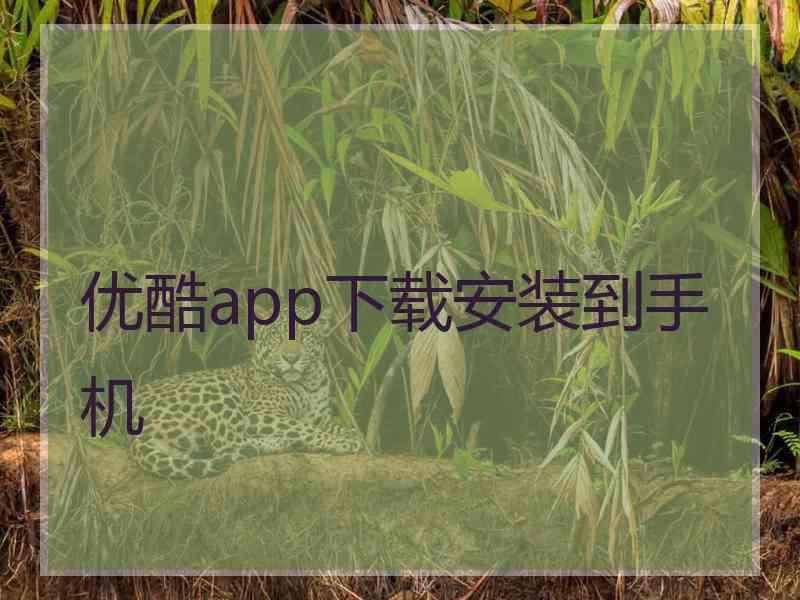 优酷app下载安装到手机